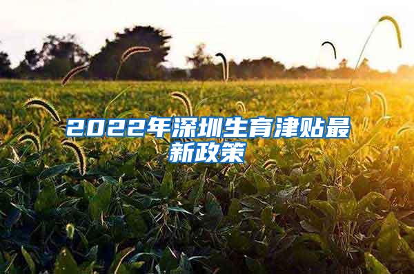 深圳最新生育政策，时代进步与社会回响的交织体现