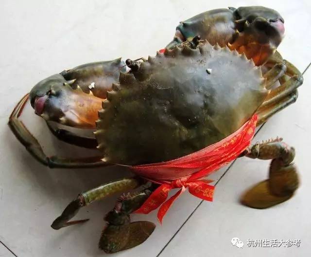 科技重塑海鲜市场，最新螃蟹智能追踪系统带你体验前沿价格动态