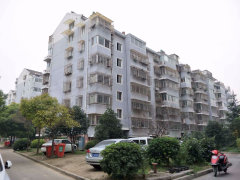 虹桥南村二手房价格概览，市场走势与购房指南